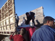 الصورة: ©FAO/Syria